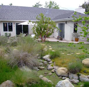 Cottage Xeriscape Garden